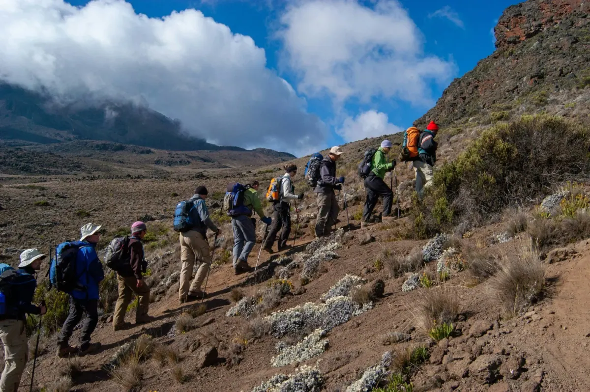Trekkers on Mount Kilimanjaro