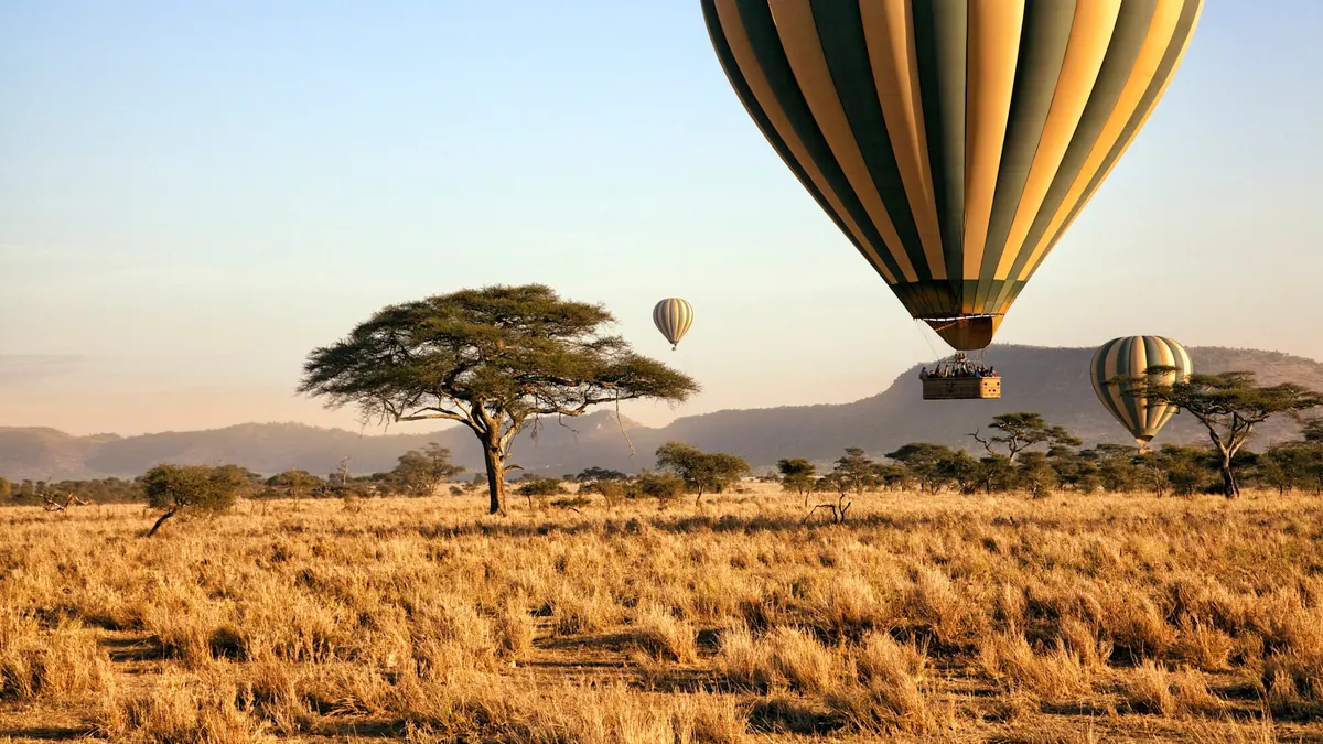 Hot air balloons over the Serengeti at sunrise
