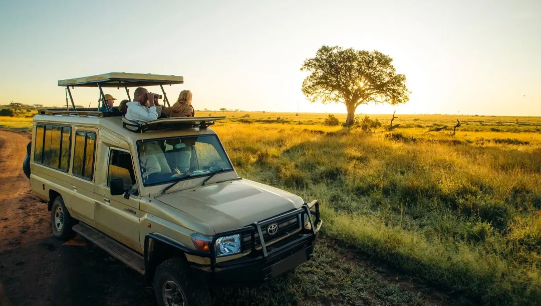 Safari vehicle at sunset on the Tanzania plains