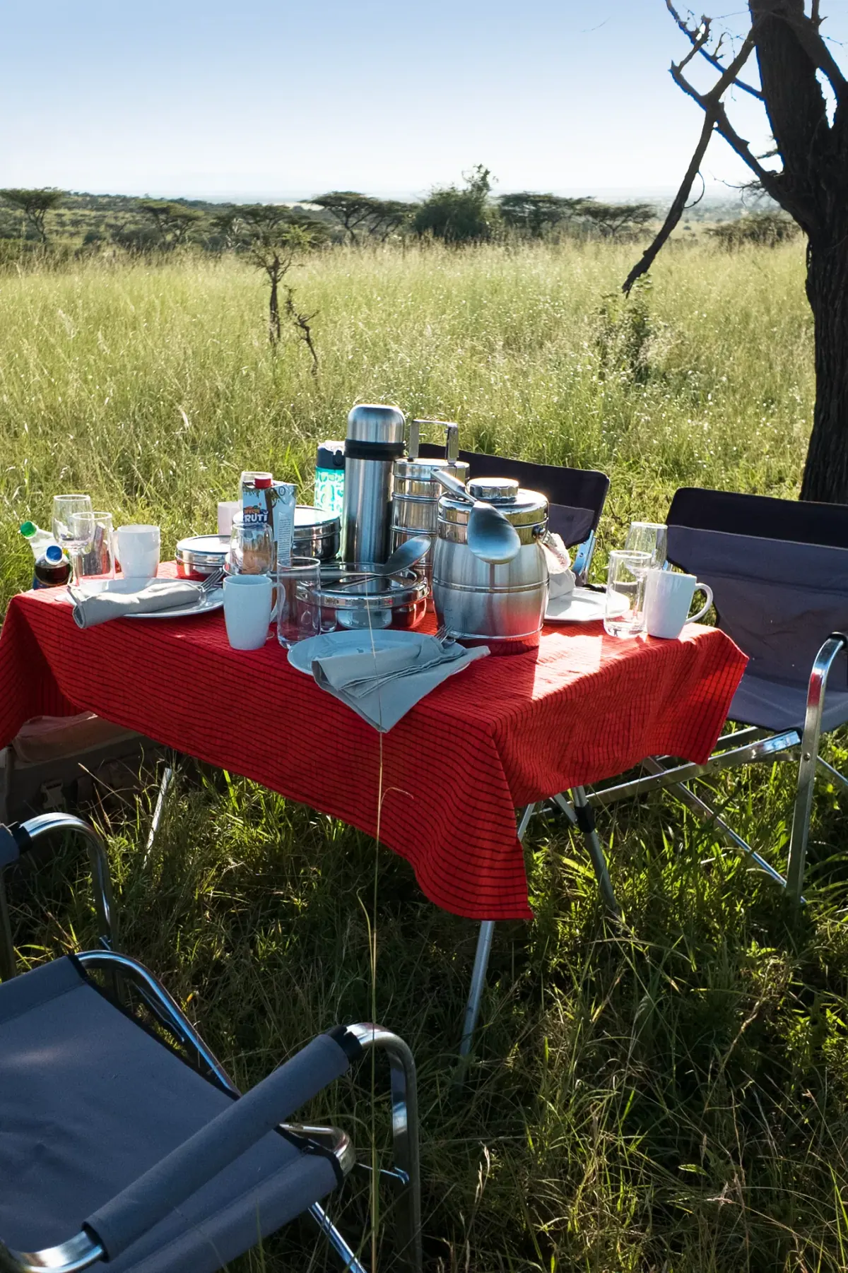 Bush breakfast set up on the savannah