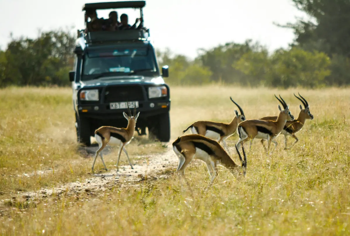 5-Day Ultimate Mid-Range Safari Experience