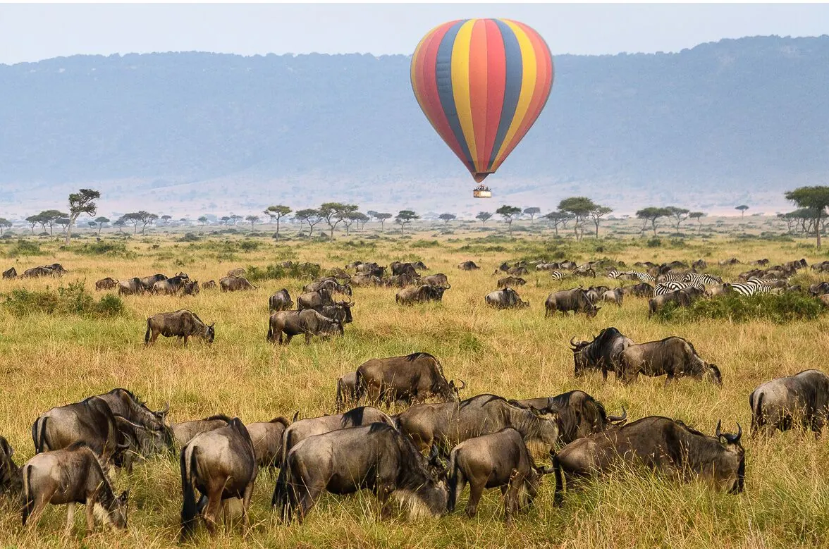 6-Day Highlights of Tanzania Mid-Range Safari