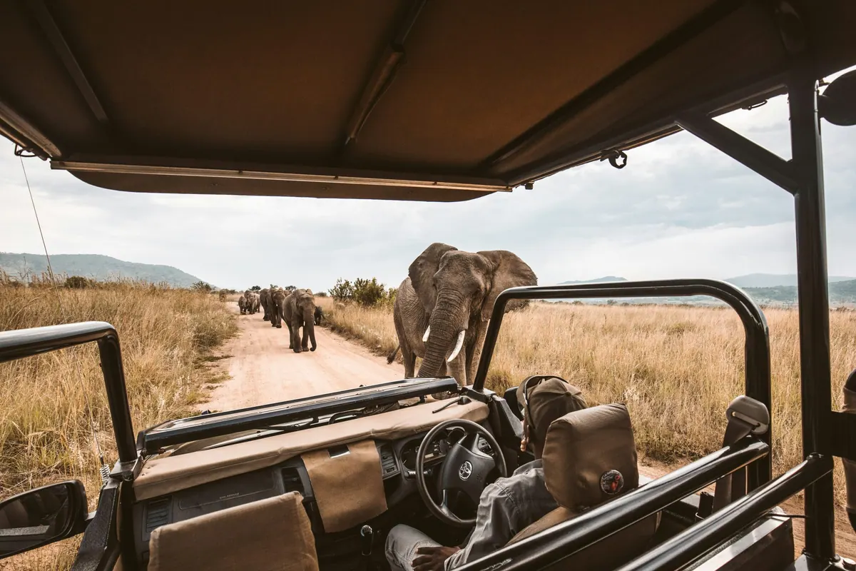 9-Day Tanzania Fly-in Luxury Safari (Open Vehicle)